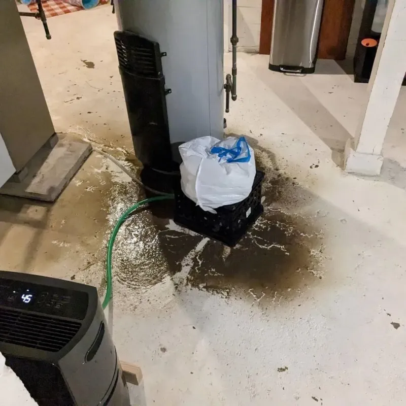 Sewage Backup Cleanup Service in Benson, UT